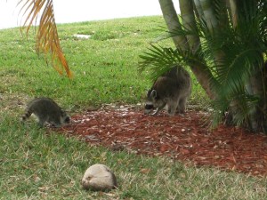 Mother and son face off