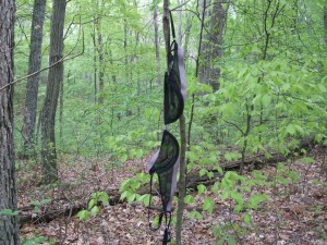 Locals mark intersections with lace underwear.