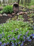 20150505_112010